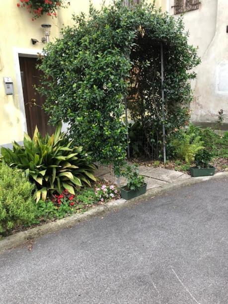 Il Casale Del Miele Bed & Breakfast Fraforeano Exterior photo